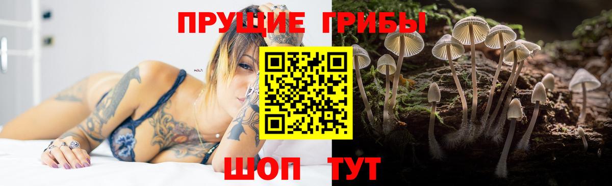 Большой Камень  Псилоцибиновые грибы Psilocybe  Галлюциногенные грибы Magic Shrooms  Вход с VPN 